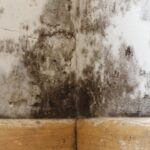 storia assicurazione